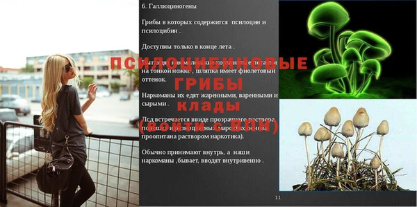 МДМА Кодинск