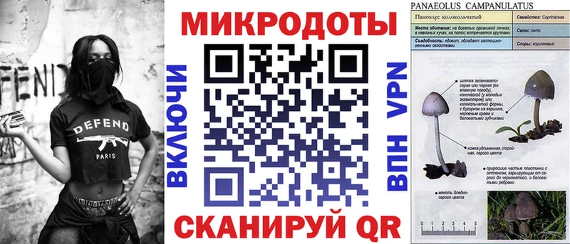 Псилоцибиновые грибы Psilocybe  Ковдор 