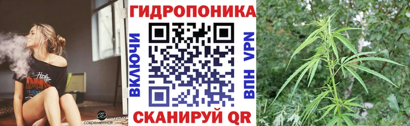 Бошки Шишки White Widow  как найти закладки  Ковдор 